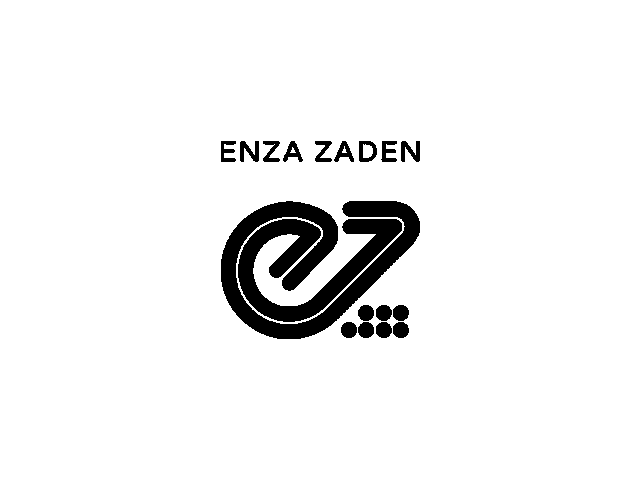 ENZA ZADEN