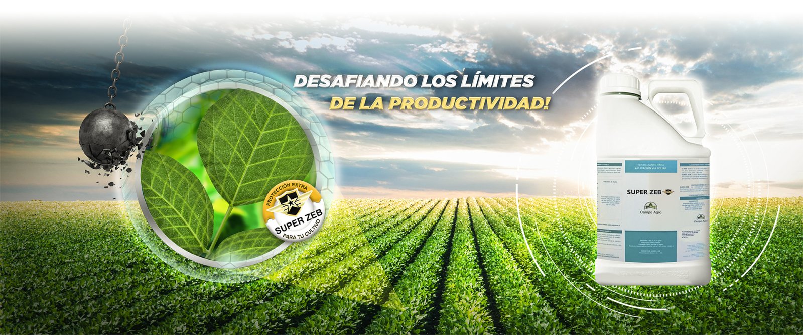 Semillas de Calidad